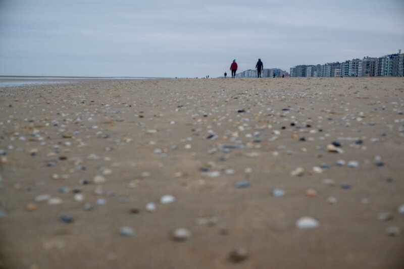 Photoresk Photo Talk photograph
