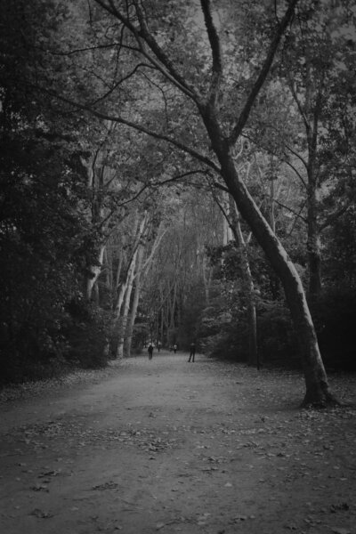 Creative nature photography photograph