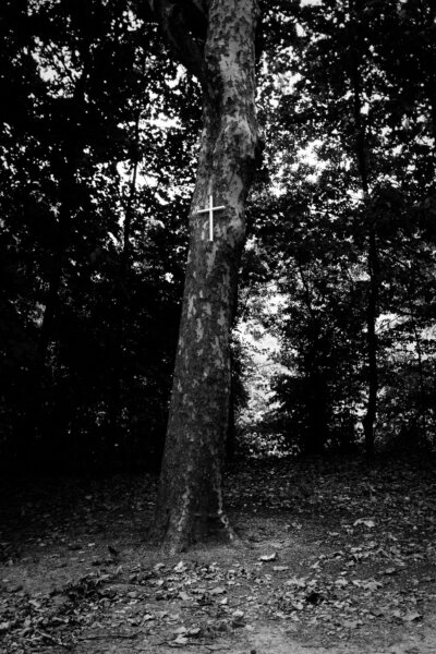 Creative nature photography photograph