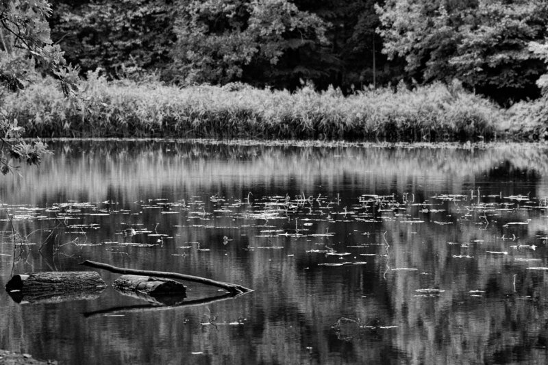 Creative nature photography photograph