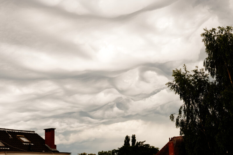 Fluffy Textures — Photoresk Photo Talk photograph