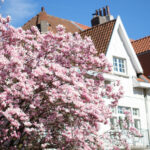 Photoresk Photo Talk