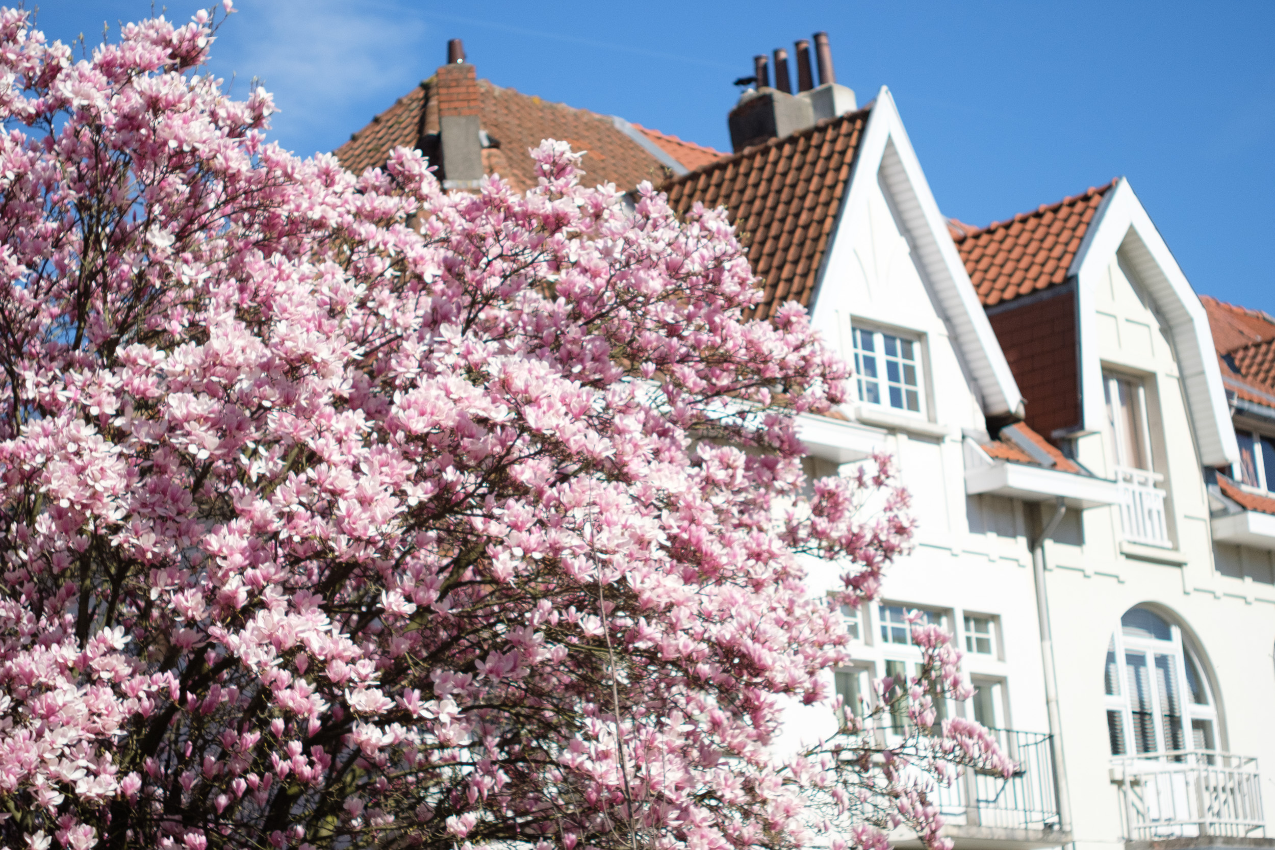 Photoresk Photo Talk