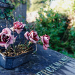 Photoresk Photo Talk