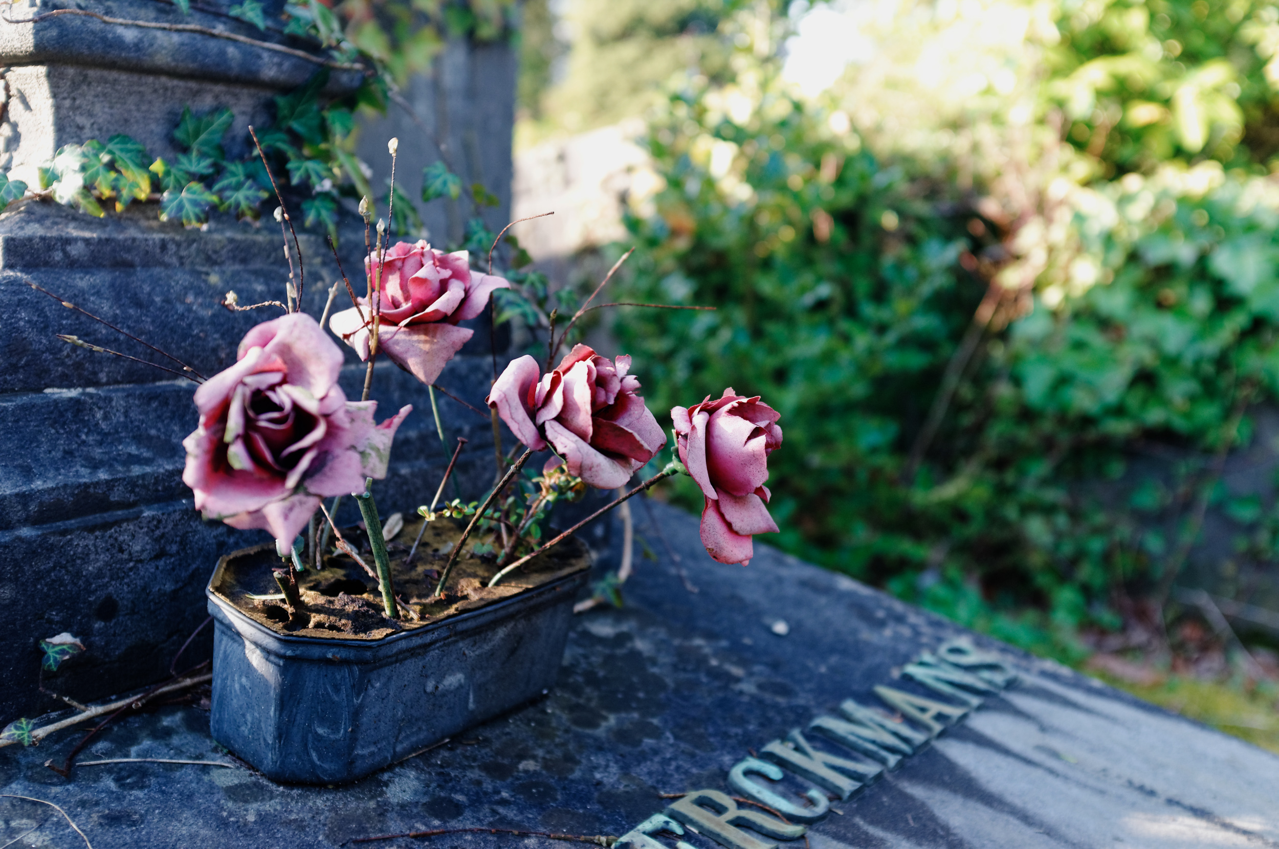 Photoresk Photo Talk