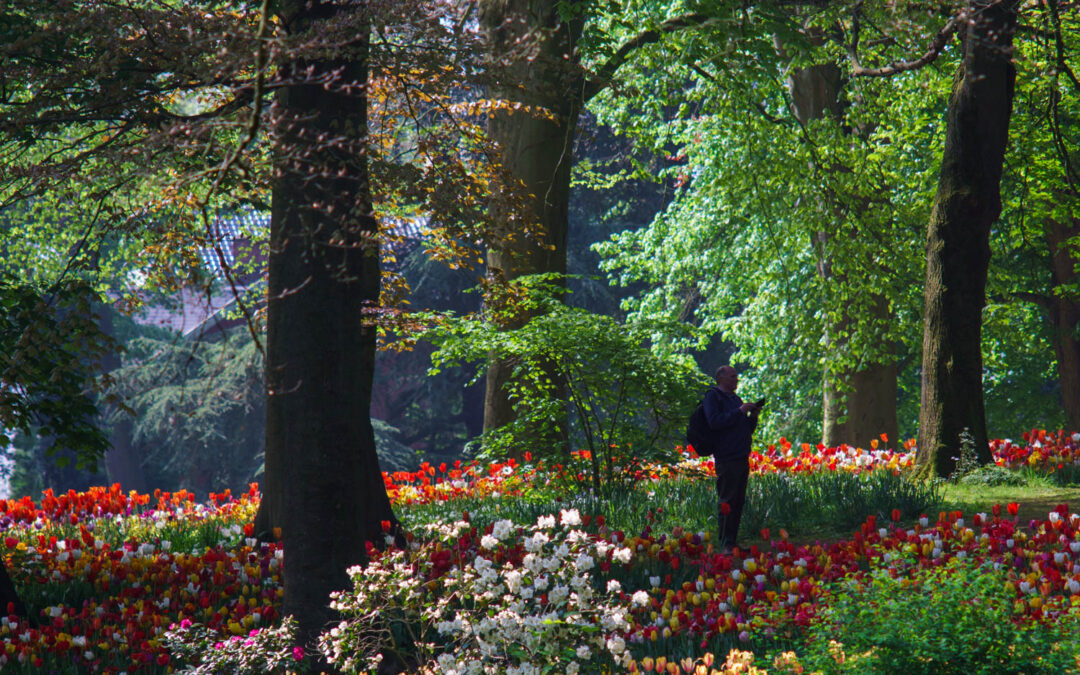 A Colorful Day at Floralia: Spring in Full Bloom
