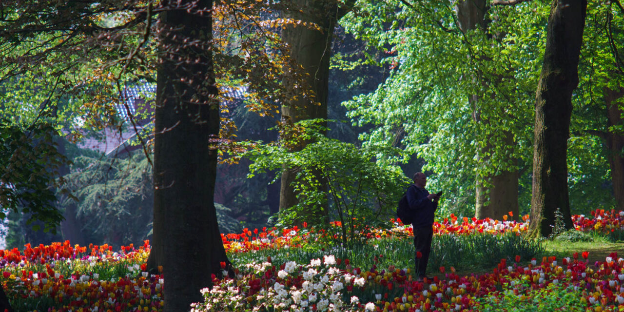 A Colorful Day at Floralia: Spring in Full Bloom
