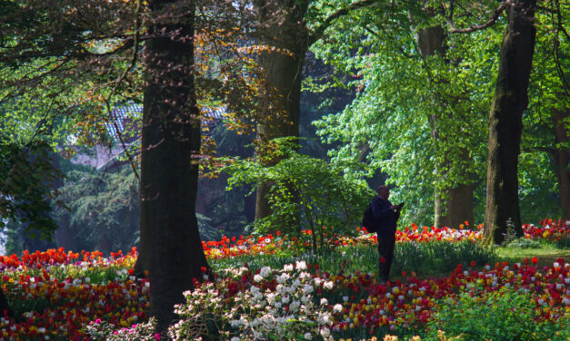 A Colorful Day at Floralia: Spring in Full Bloom