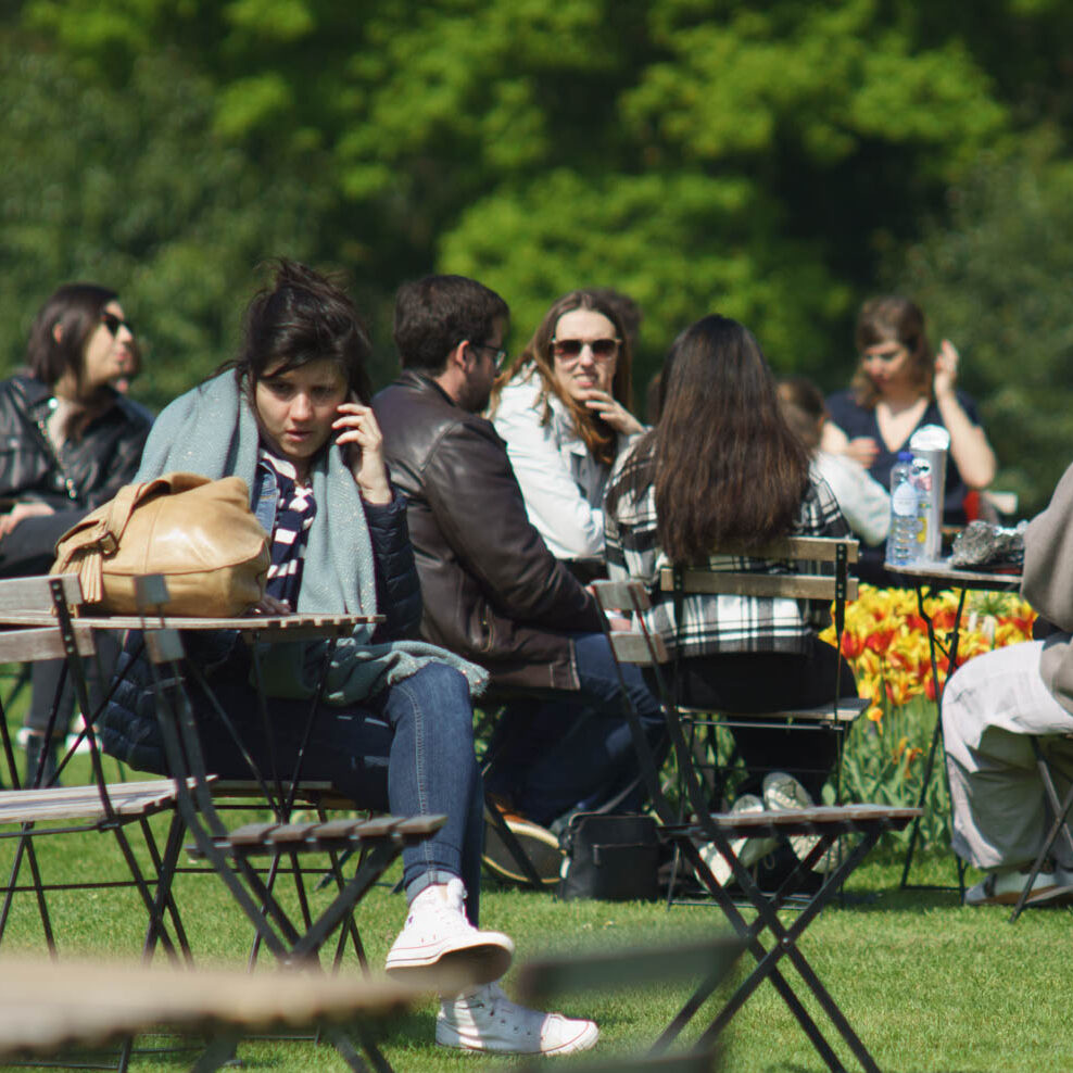 'Group of People Enjoying Picnic in Park, Overhead Perspective'