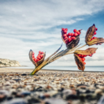 Photoresk Photo Talk