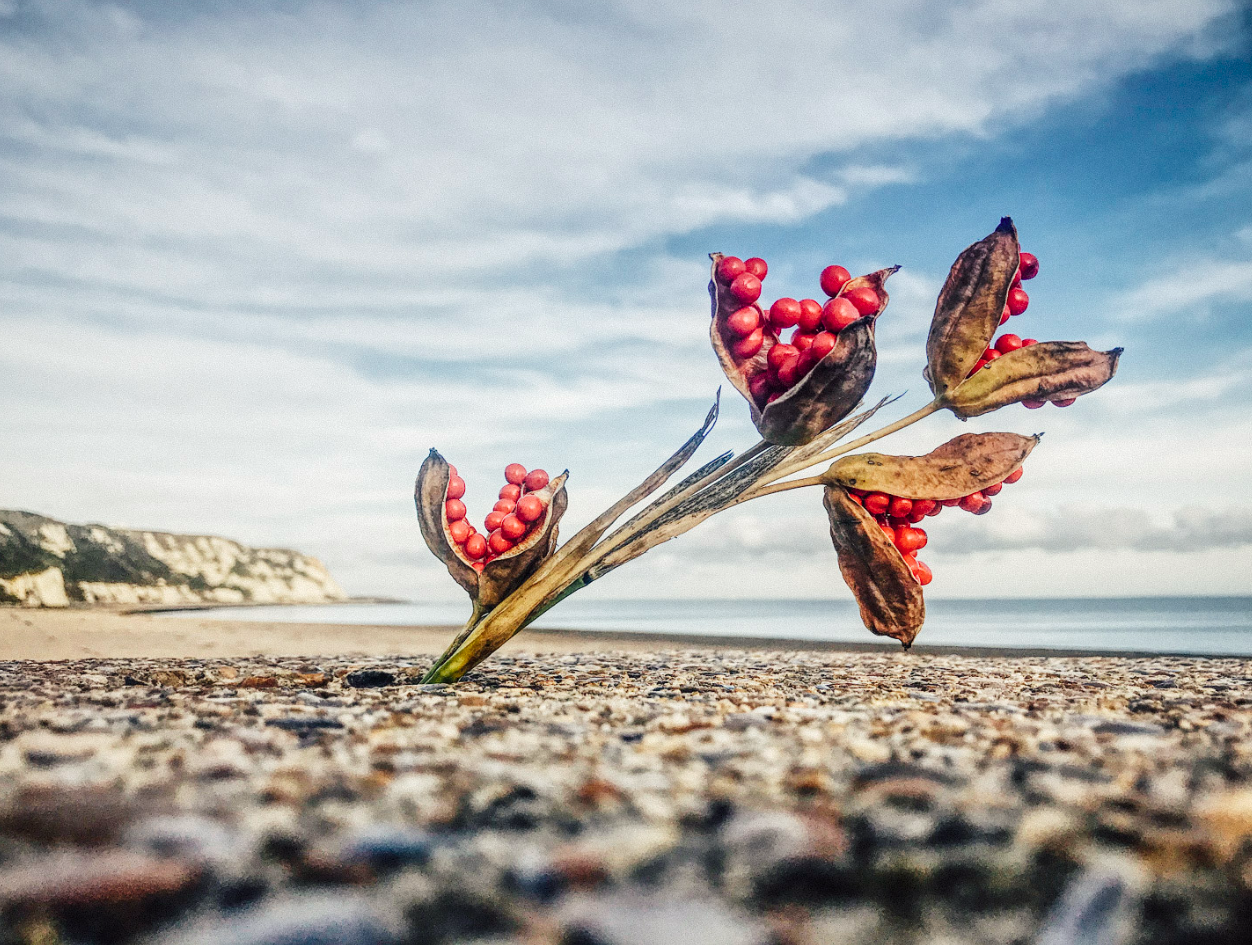 Photoresk Photo Talk