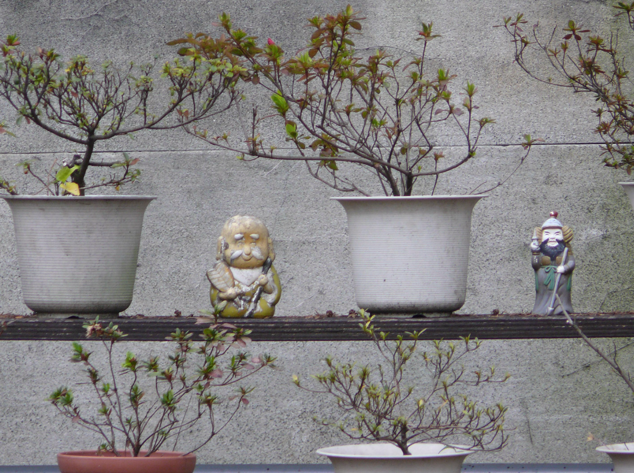 Japanese Garden, Hasselt — Sunday, 19 April 2026