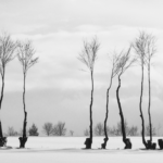 Minimalism — Photoresk Photo Talk