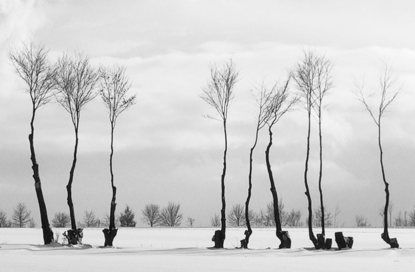 Minimalism — Photoresk Photo Talk