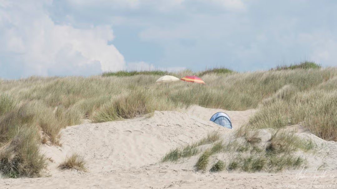 A cosy day at the beach, a nice chance to enjoy together summer :)