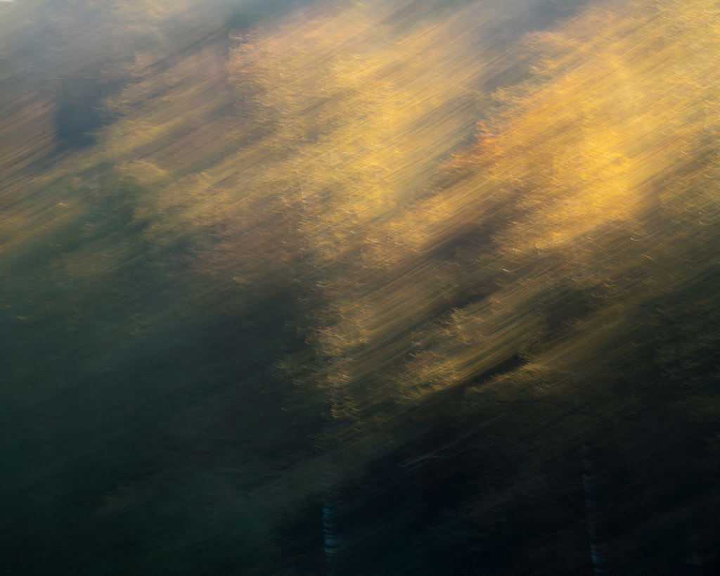 Creative nature photography