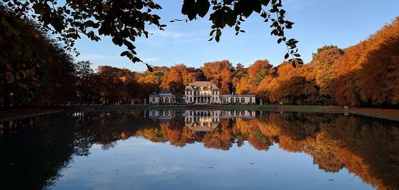 Autumn Foliage - Provinciaal Groendomein Rivierenhof