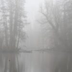 Landscapes of Belgium - searching for ghosts at the swamps of Blaasveld