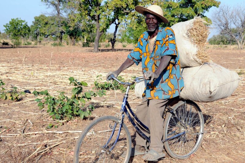Transport bike