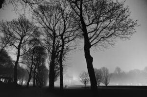 B&W Nighttime Landscape with Trees and Silhouettes.