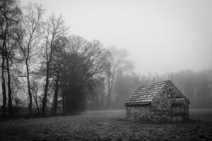 Old Chicken Coop